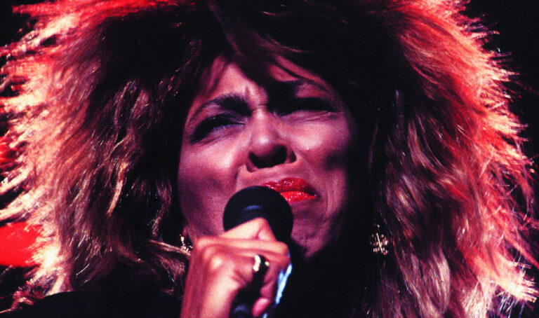 tina turner raymond craig turner